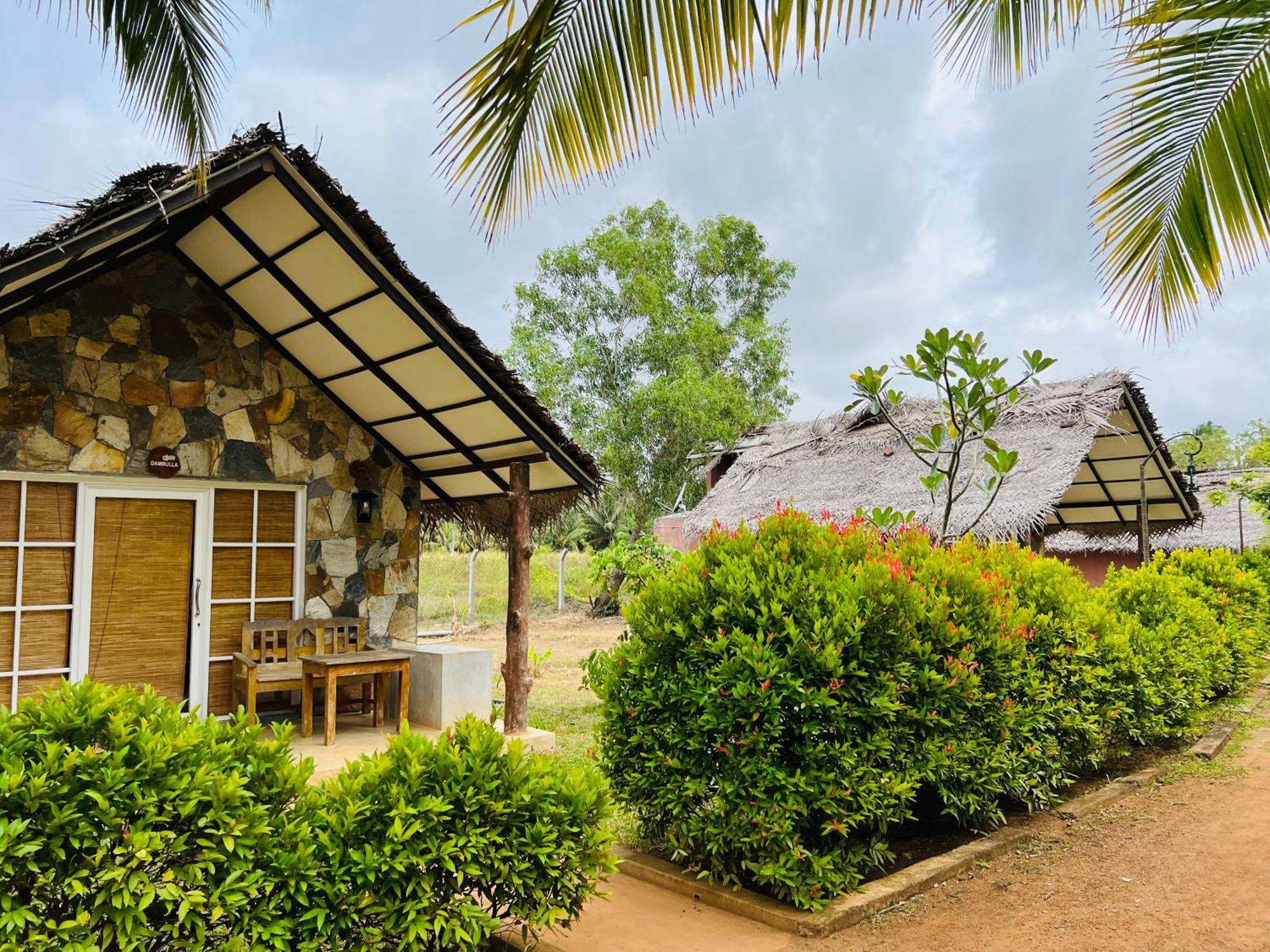 Coco Village Hotel Chilaw Eksteriør billede